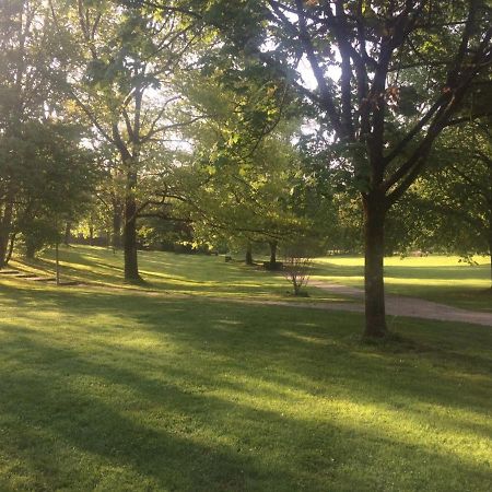 Tiny Ferienwohnung Am Stadtpark 施韦比施哈尔 外观 照片